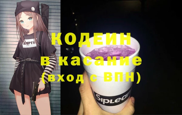 индика Абаза