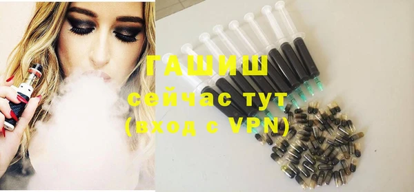 индика Абаза