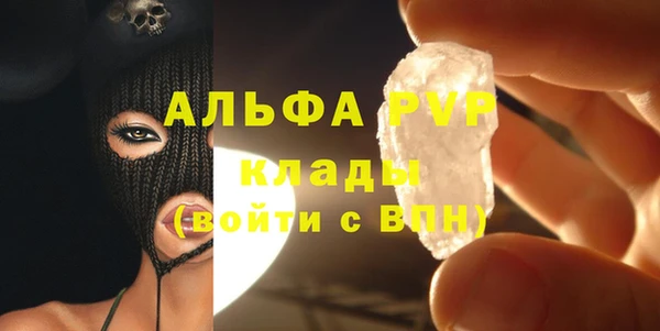 индика Абаза