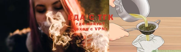 индика Абаза