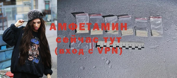 индика Абаза