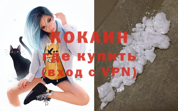 индика Алексеевка