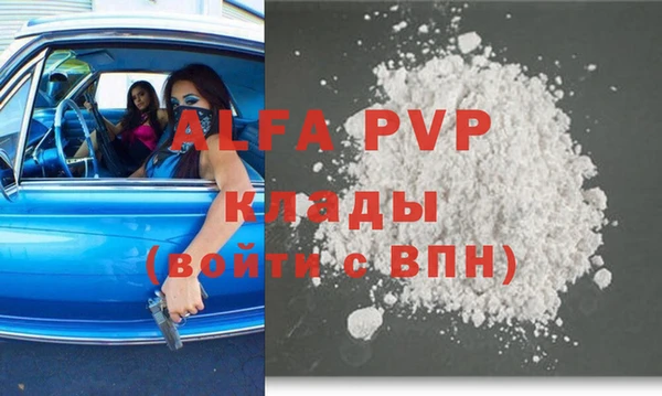 индика Абаза