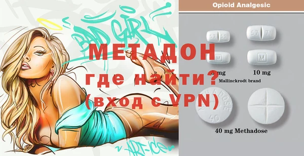 индика Абаза