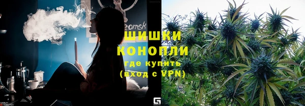 индика Абаза