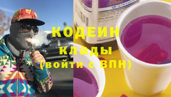 индика Абаза