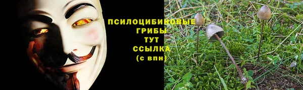 не бодяженный Абинск