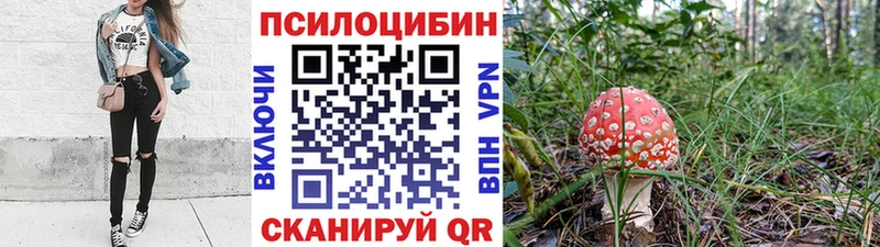купить наркотик  Назрань  Галлюциногенные грибы Psilocybe 